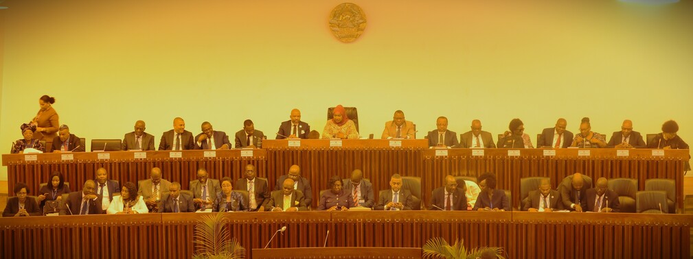 LAM: REFORMAR É UM ACTO DE CORAGEM